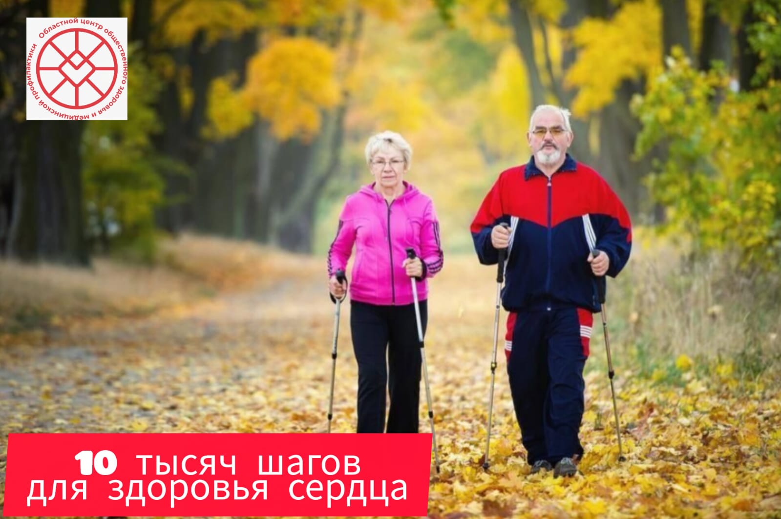 10 000 шагов для здоровья сердца